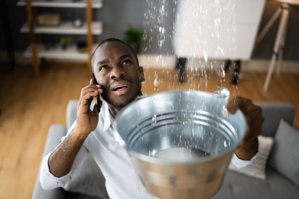 Best Local water damage restoration  in Richmond, IL