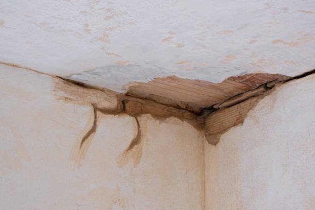 Best 24-hour water damage restoration  in Richmond, IL