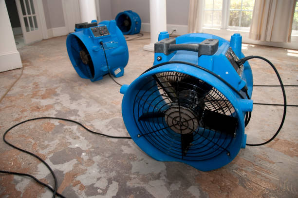 Best Professional water damage repair  in Richmond, IL