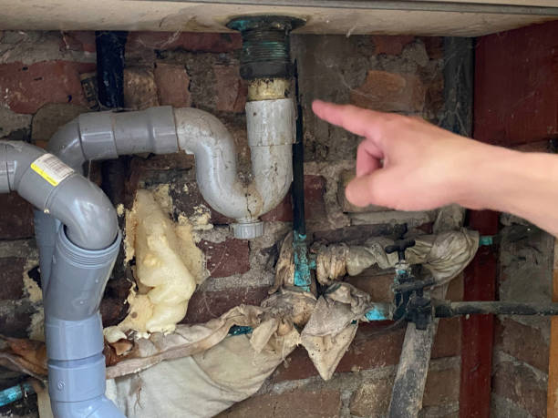 Best Mold removal after water damage  in Richmond, IL