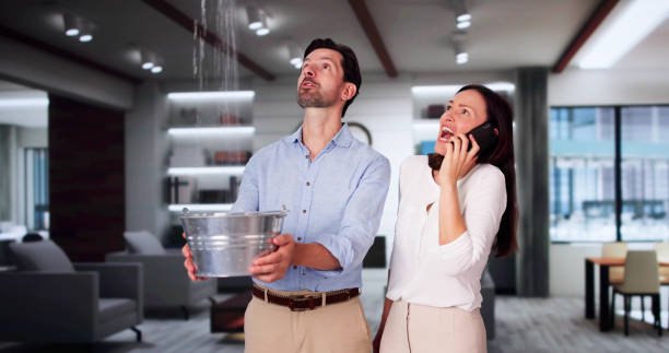 Best Water damage restoration near me  in Richmond, IL